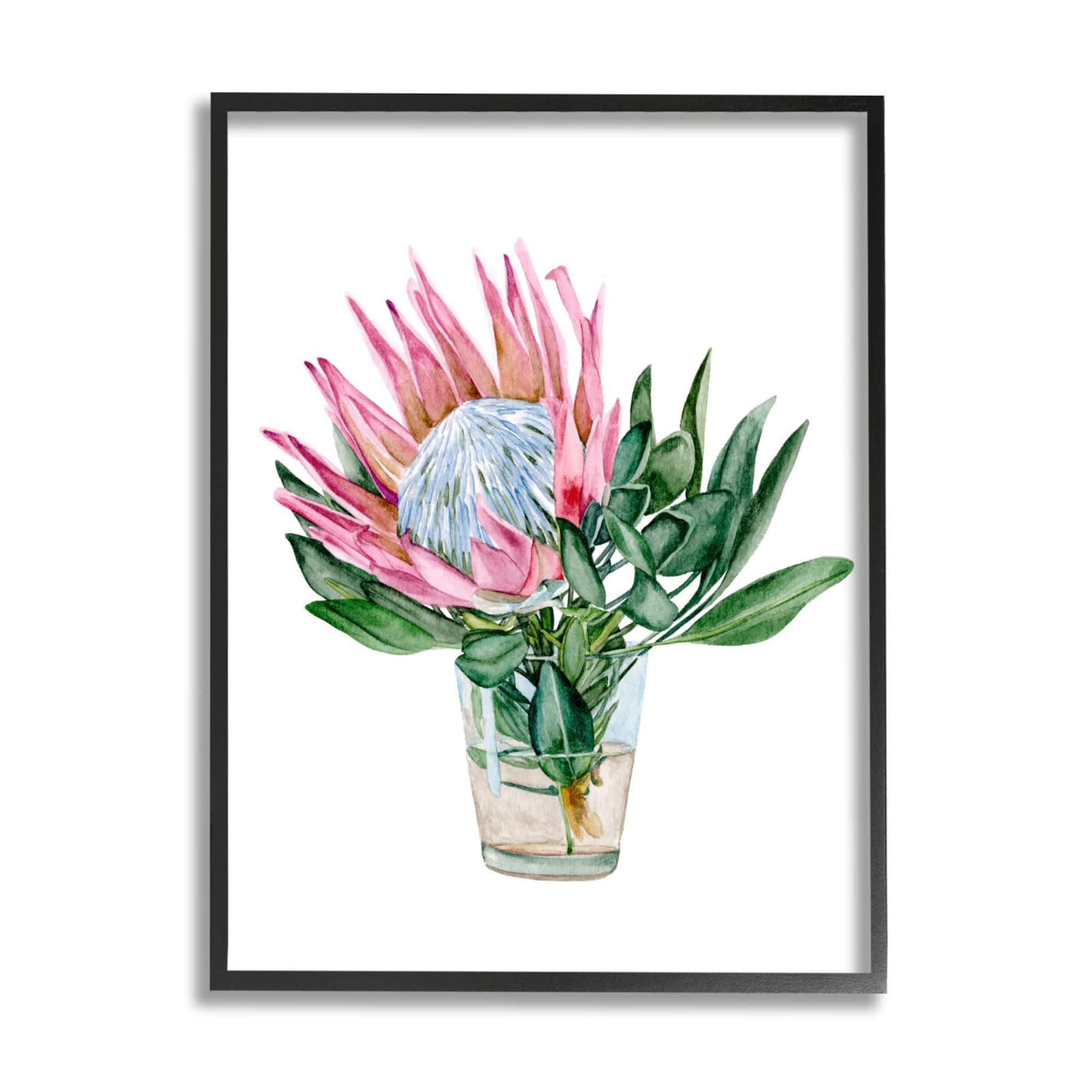 Stupell Industries Blushing Protea Flower Glass Watercolor Flower Still Life Framed Wall Art